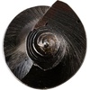 image:imageIRWIN WeldTec Auger Wood Drill Bit 114 X 17 3043015 Black916Inch Bit